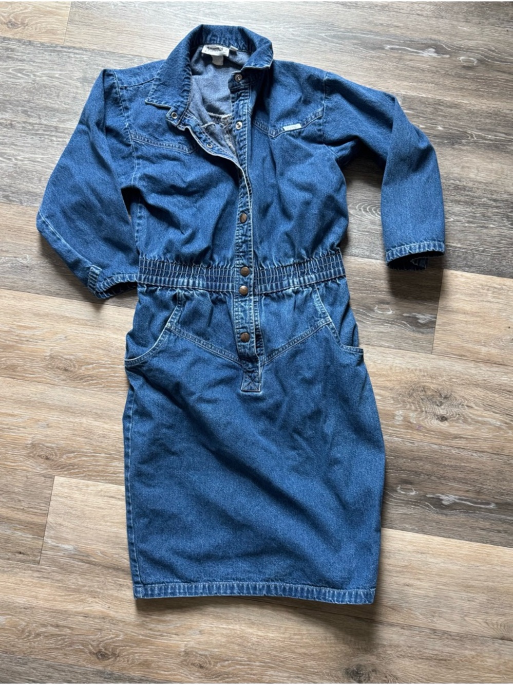 Vintage Dreams Blue Denim Button-Front Dress